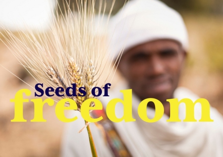 seeds-of-freedom